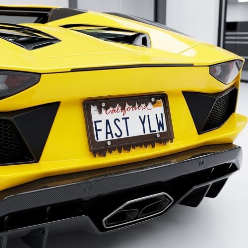 Timtin 1 Set Fluorescent Black License Plate Frame, Style 1