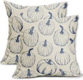 Blue Pumpkin Fall Pillow Covers 22x22 Set of 2 Autumn Themed Thanksgiving Harvest Print Decorative Throw Pillows Outdoor Farmhouse Pillowcases Cushion Case Seasonal Decor for Couch Sofa Bed by Aytipun