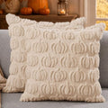 DFXSZ Fall Pillow Covers 22x22 2Pcs Beige Pumpkin Fall Decorations for Home by DFXSZ