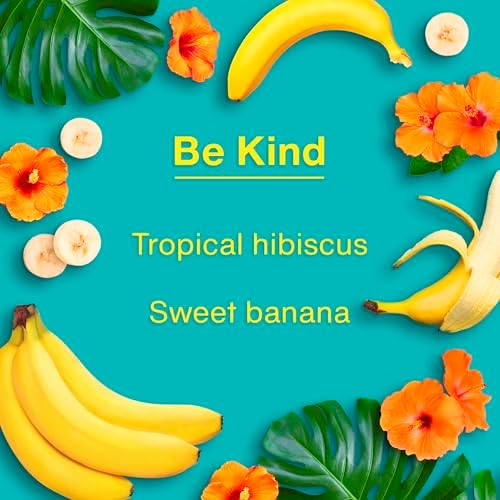 LITTLE TREES Car Air Freshener, 4 Count (Pack of 6), Be Kind
