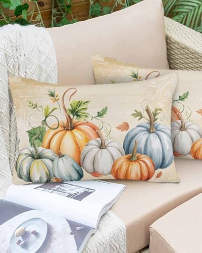 Pillow Covers 24x36 Inch - Body Fall Thanksgiving Orange Blue Grey Pumpkin Autumn Harvest Soft Brushed Microfiber Pillowcases with Hidden Zipper Closure Bed Pillow Shams for Bedroom Sofa Car - Image 5