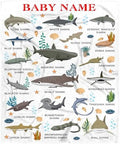 Types of Sharks Custom Name Blanket Gifts for Girls Boys Women - Super Soft Cozy Warm Throw Sheet for Couch Bed Sofa Office Decor All Season 50"x60" for Teens by Nairatmya