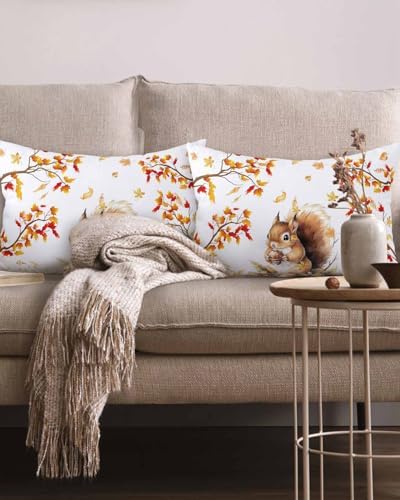 Fall Cute Squirrel Pillow Covers 12x20 Inch Set of 2, Thanksgiving Decorations Indoor Outdoor Throw Pillow Covers, Autumn Animals Cotton Linen Pillowcases for Patio Sofa Couch Bedroom Decorative - Image 2