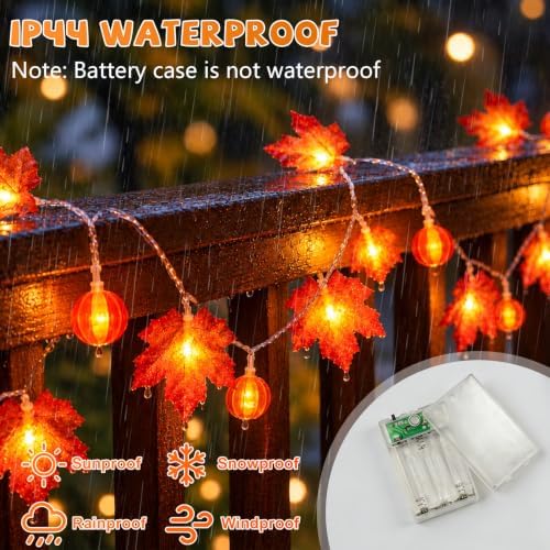 YEGUO 2Pack Fall Garland Lights, 20ft 40LED Maple Leaves with Pumpkin - Image 5