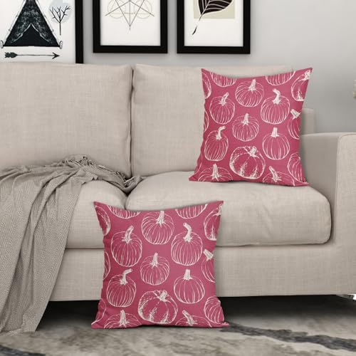 Drak Pink Fall Pumpkin Pillow Covers 24x24 Set of 2 Autumn Themed Thanksgiving Cream Print Decorative Throw Pillows Outdoor PillowCase Farmhouse Linen Cushion Case Decor for Home Sofa Couch Bed - Image 3