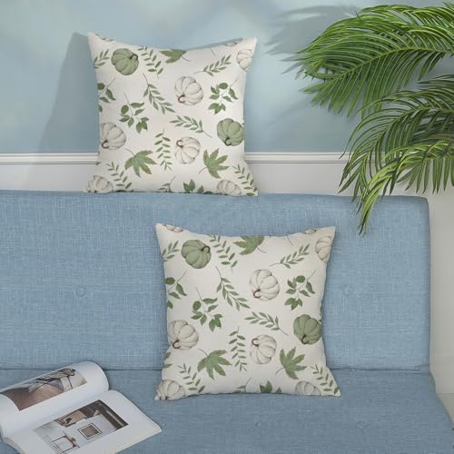 Fall Pillow Covers 18x18 Set of 2 Sage Green Pumpkin Maple Leaf Fall Decor Pillowcase Autumn Thanksgiving Decorations Outdoor Throw Pillow Covers Linen Farmhouse Cushion Case for Couch Home - Image 3