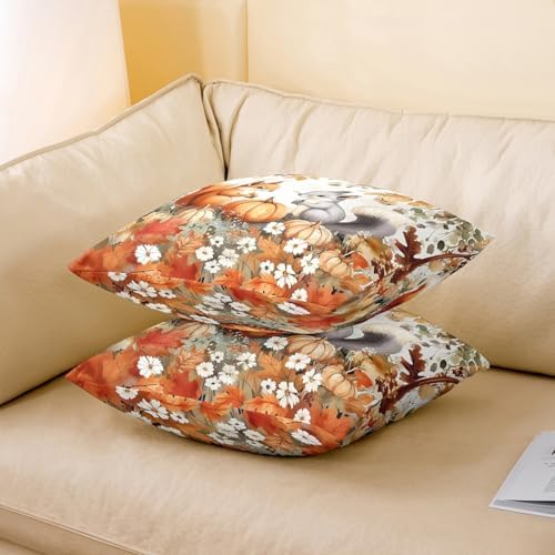 Squirrel Double Sides Print Pillow Covers,Rustic Autumn Maple Leaves Pumpkin Throw Pillow Case Covers,Fall Thanksgiving Day Natural Cute Animal Cushion Covers,2 Pack 24"x 24" - Image 3