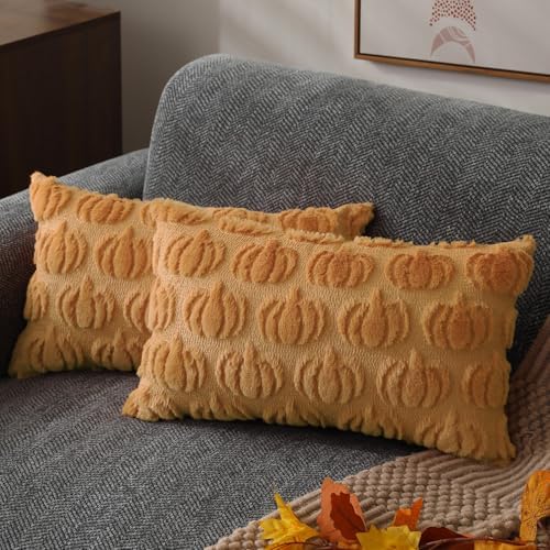 DFXSZ Fall Pillow Covers 12x20 2Pcs Light Orange Pumpkin Fall Decorations by DFXSZ