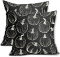 Black Fall Pumpkin Pillow Covers 24x24 Set of 2 Autumn Themed Thanksgiving Cream Print Decorative Throw Pillows Outdoor Pillowcase Farmhouse Linen Cushion Case Decor for Home Sofa Couch Bed by Aytipun