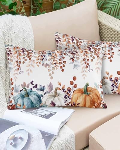 Pillow Covers 16x24 Inch Fall Watercolor Pumpkin and Brown Eucalyptus Leaves Soft Brushed Microfiber Pillowcases with Hidden Zipper Closure Bed Pillow Shams for Bedroom Sofa Car - Image 5