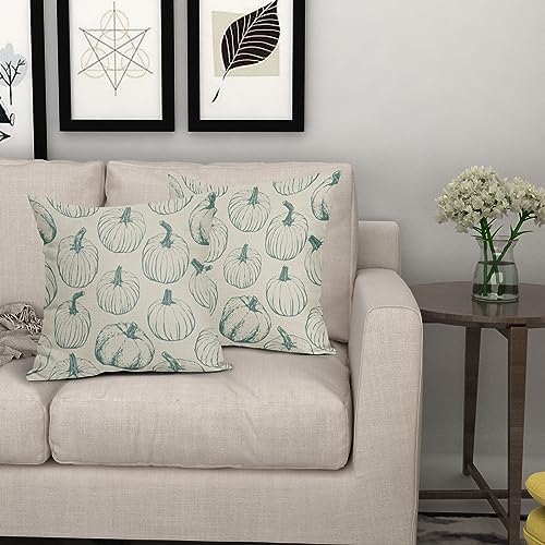 Fall Pillow Covers 18x18 Set of 2 Light Blue Pumpkin Autumn Themed Thanksgiving Harvest Print Decorative Throw Pillows Outdoor Pillowcase Linen Cushion Case Decor for Sofa Couch Bed - Image 7