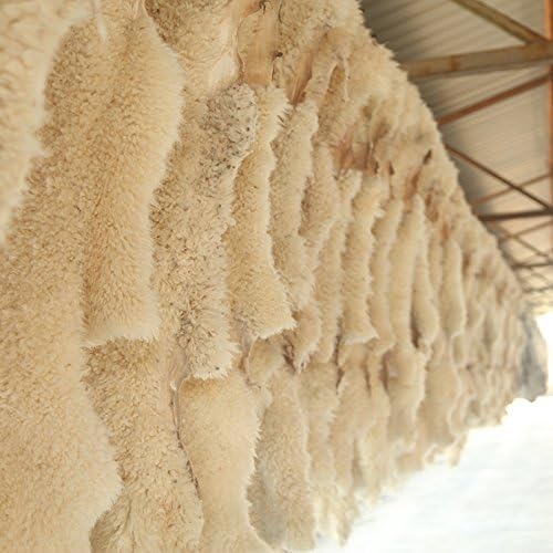 20 inchs Fluffy Genuine Australia Sheepskin Car Seat Cover - Image 9