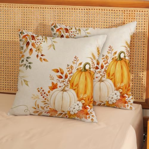 Fall Pillow Covers 18x18 Set of 2 Orange White Pumpkin Throw Pillow Covers Autumn Maple Leaf Eucalyptus Decorative Ourdoor Pillow Cases Thanksgiving Harvest Linen Cushion Cover for Couch Home Decor - Image 3