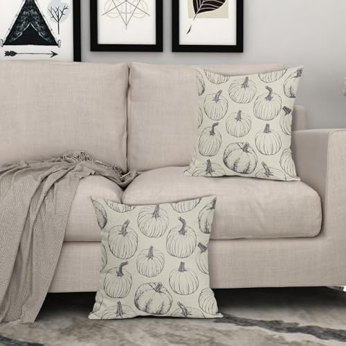 Grey Gray Pumpkin Fall Pillow Covers 18x18 Set of 2 Autumn Themed Thanksgiving Harvest Print Decorative Throw Pillows Outdoor Farmhouse Pillowcases Cushion Case Seasonal Decor for Couch Sofa Bed - Image 3
