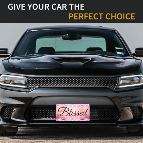 Glitter Blessed Pink Cool Front License Plate 6x12 Inch