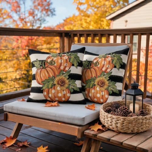 Fall Thanksgiving Pillow Covers 16x16 Set of 2, Autumn Polka Dot Pumpkin Sunflower Print Striped Decorative Throw Pillow Cases Holiday Outdoor Harvest Seasonal Farmhouse Decor for Sofa Couch Bed - Image 6