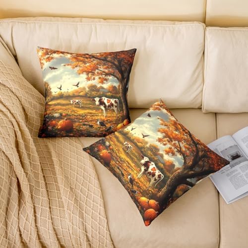 Rustic Cow Double Sides Print Pillow Covers,Farmhouse Cattle Animal Fall Cabin Throw Pillow Case Covers,Autumn Pumpkin Maple Trees Leaves Natural Scenery 2 Pack Cushion Covers,16"x16" - Image 2