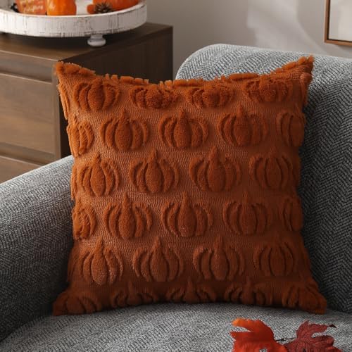 DFXSZ Fall Pillow Covers 16x16 2Pcs Rust Pumpkin Fall Decorations for Home - Image 3