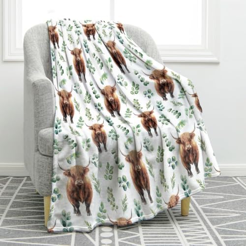 Jekeno Highland Cow Gifts Blanket, Soft Cozy Plush Throw 80"x60" by Jekeno