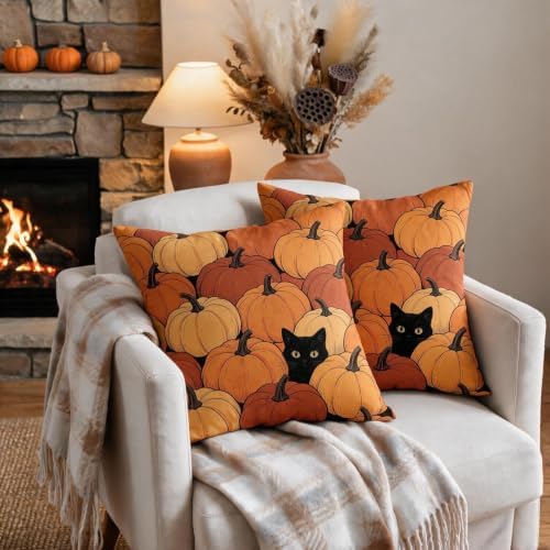 Fall Orange Pumpkin Pillow Covers 20x20 Set of 2, Black Cat Autumn Harvest Thanksgiving Decorative Throw Pillow Cases Holiday Outdoor Seasonal Farmhouse Decor for Sofa Couch Bed - Image 3