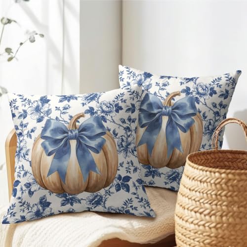Fall Pumpkin Pillow Covers 16x16 Set of 2 Porcelain Highly Absorbent - Image 7