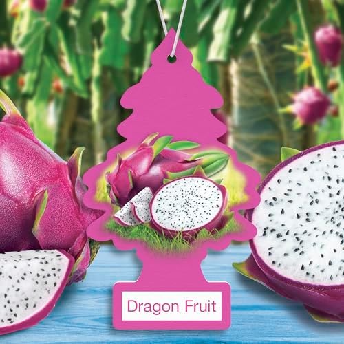 LITTLE TREES Car Air Freshener, 4 Count (Pack of 6), Dragon Fruit