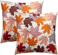 Sweetshow Fall Leaves Throw Pillow Covers 12X12 Inches Set of 2 Thanksgiving Autumn Harvest Maple Leaf Pillowcase Soft Cotton Square Cushion Covers for Home Sofa Bedroom Decoration by Sweetshow