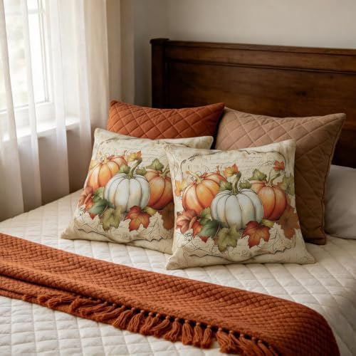 Fall Thanksgiving Pillow Covers 22x22 Set of 2, White Orange Pumpkin Maple Leaves Harvest Autumn Decorative Throw Pillow Cases Outdoor Vintage Rustic Farmhouse Decor for Sofa Couch Bed - Image 7