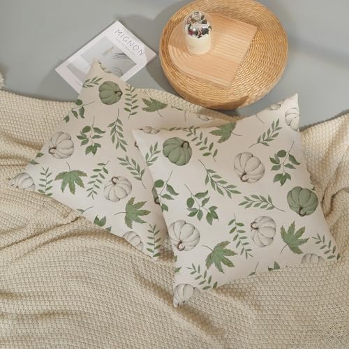 Fall Pillow Covers 18x18 Set of 2 Sage Green Pumpkin Maple Leaf Fall Decor Pillowcase Autumn Thanksgiving Decorations Outdoor Throw Pillow Covers Linen Farmhouse Cushion Case for Couch Home - Image 5