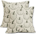 Olive Green Pumpkin Fall Pillow Covers 22x22 Set of 2 Autumn Themed Thanksgiving Harvest Print Decorative Throw Pillows Outdoor Farmhouse Pillowcases Cushion Case Seasonal Decor for Couch Sofa Bed by Aytipun