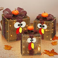 [Timer & 8 Modes] 3 Pack Thanksgiving Decorations Turkey Lighted Gift Boxes by TURNMEON