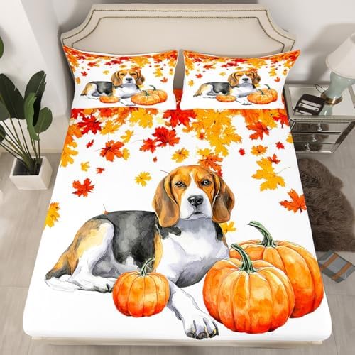 Fall Pumpkin Sheet Set Retro Watercolor Sausage Dog Fitted Sheet Full Thanksgiving Harvest Seasonal Bed Sheets for Kids Boys Girls,Happy Fall Maple Leaf Bedding Soft Flat Sheeet Orange 4 Pcs - Image 3