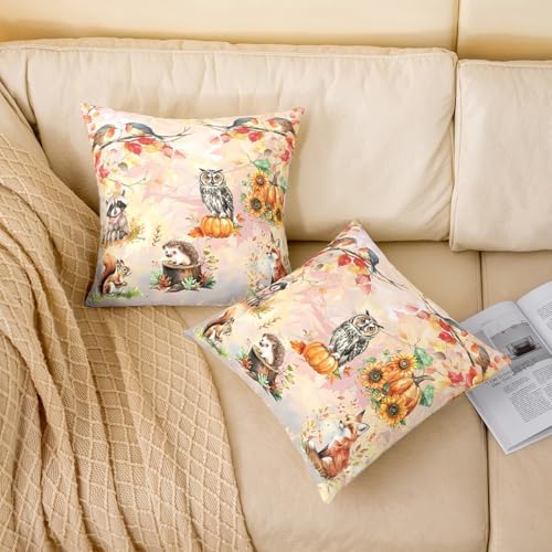 Autumn Animal Pack of 2 Pillow Covers,Cute Owl Fox Squirrel Natural Wild Animal Soft Square 18"x18" Cushion Case,Fall Maple Leaves Pumpkin Botanical Throw Pillow Covers,Double Sides - Image 2
