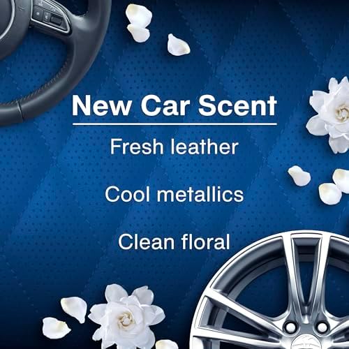 LITTLE TREES Car Air Freshener, 4 Count (Pack of 6), New Car
