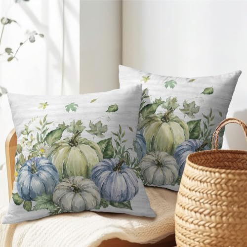 Fall Pumpkin Pillow Covers 24x24 Set of 2 Watercolor Highly Absorbent - Image 7