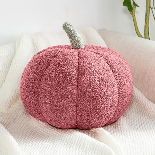 Fall Theme Plush Pillow for Sofa Living Room Decor Chic Throw for Bed Bedroom Home Car Decor,Blush Pink,11.02" by Eoieov