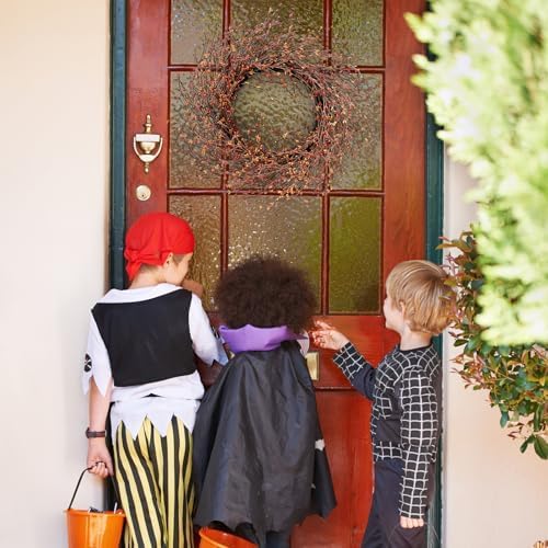 24 Inch Fall Wreath for Front Door Full Artificial Grapevine Wreath - Image 7
