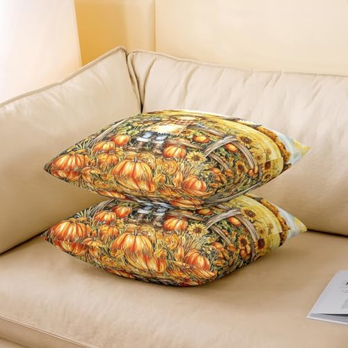 Manfei Cute Scarecrow Pillow Covers Reversible Print Pack of 2,Fall Pumpkin Sunflower Yellow Orange Decorative Cushion Covers,Rustic Farmhouse Cabin Autumn Harvest Couch Pillow Covers,24"x 24" - Image 3