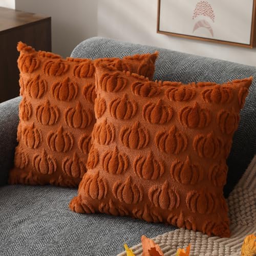 DFXSZ Fall Pillow Covers 22x22 2Pcs Rust Pumpkin Fall Decorations for Home by DFXSZ