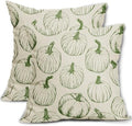 Green Pumpkin Fall Pillow Covers 16x16 Set of 2 Autumn Themed Thanksgiving Harvest Print Decorative Throw Pillows Outdoor Farmhouse Pillowcases Cushion Case Seasonal Decor for Couch Sofa Bed by Aytipun