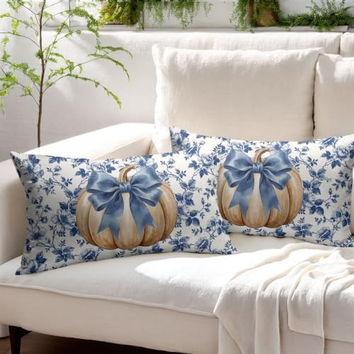 Fall Pumpkin Pillow Covers 12x20 Set of 2 Porcelain Highly Absorbent - Image 3
