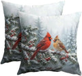 Winter Red Cardinal Bird Pillow Covers 24x24 Set of 2 Highly Absorbent by Unknown