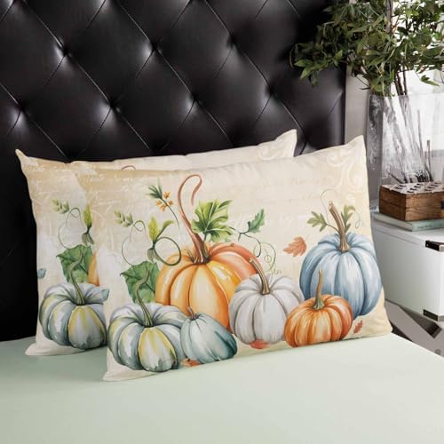 Pillow Covers 20x36 Inch - King Fall Thanksgiving Orange Blue Grey Pumpkin Autumn Harvest Soft Brushed Microfiber Pillowcases with Hidden Zipper Closure Bed Pillow Shams for Bedroom Sofa Car - Image 3