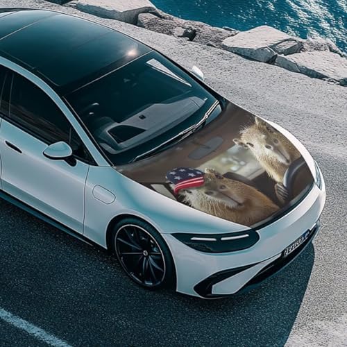 Funny Capibala Hood Wraps for Cars Hood Wrap Protector Washable Car Hook Elastic Fabrics Can be Washed Hook Wraps