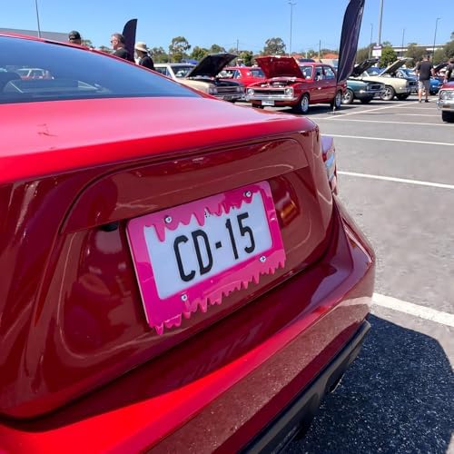 Timtin 2 Sets Fluorescent Hot Pink License Plate Frame, Style 1