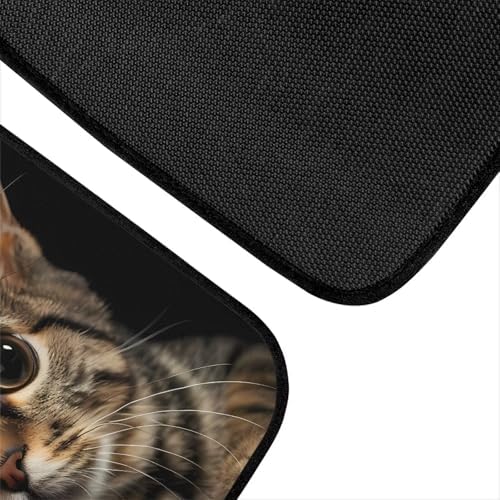 GLENLCWE Cute Cat Car Floor Mat Set 4 Piece, Car Floor Mats Rubber Rear & Front Seat Pads, Non-Slip Auto Carpet Mat Automotive Decoration