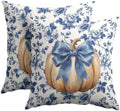 Fall Pumpkin Pillow Covers 16x16 Set of 2 Porcelain Highly Absorbent by Unknown