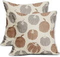 Brown Grey Gray Pumpkin Fall Pillow Covers 18x18 Set of 2 Autumn Harvest Print Thanksgiving Decorative Throw Pillows Outdoor Farmhouse Cushion Case Seasonal Decor for Couch Sofa Bed by Aytipun