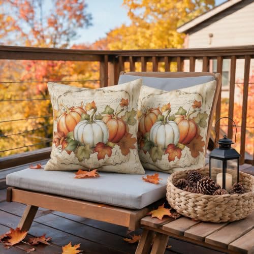 Fall Thanksgiving Pillow Covers 24x24 Set of 2, White Orange Pumpkin Maple Leaves Harvest Autumn Decorative Throw Pillow Cases Outdoor Vintage Rustic Farmhouse Decor for Sofa Couch Bed - Image 6