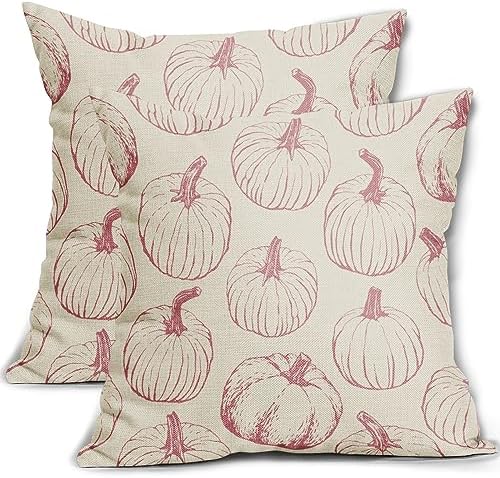 Fall Pillow Covers 18x18 Set of 2 Pink Pumpkin Autumn Themed Thanksgiving Harvest Print Decorative Throw Pillows Outdoor Pillowcase Farmhouse Linen Cushion Case Decor for Sofa Couch Bed by Aytipun